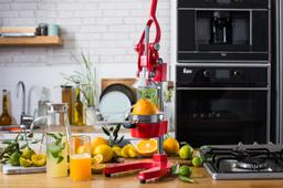 מסחטת הדריםרימונים ירוק BUFFALO המקורית FK-5015-תמונה-1