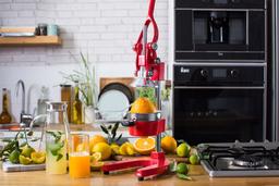 מסחטת רימונים /הדרים בורדו BUFFALO המקורית FK-5015-תמונה-1