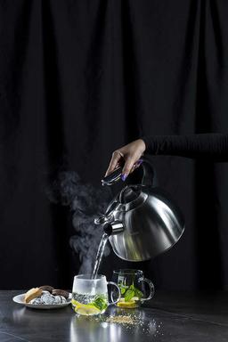 קומקום נירוסטה שורק 2.9 ליטר SIERRA-תמונה-1