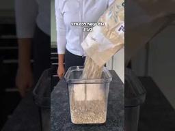 סט 6 חבקי מפיות CELINE שחור-photo-2